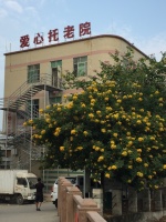 增城市爱心托老院图片