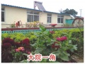 玉田县东关馨康养老院图片