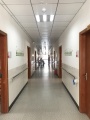 上海新农普度养老院图片