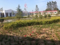 沈丘县康乐尊长园图片