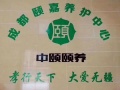 成都颐嘉养护中心图片