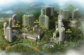 仁帝山国家雨林康养基地图片