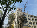 苍南县睦邻康养中心图片