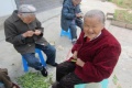 绵阳市游仙区常青藤颐养苑图片