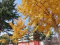 宝鸡德福老年公寓图片