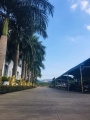 西双版纳傣乡巾帼养老有限公司图片