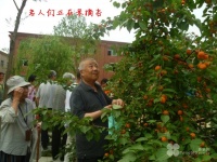 北京市通州区三乐康复老年公寓图片