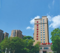 康乃馨养老图片