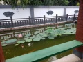 新民市晓月温馨托老所图片