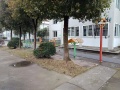 上海市松江区华阳敬老院图片